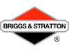 Briggs & Stratton